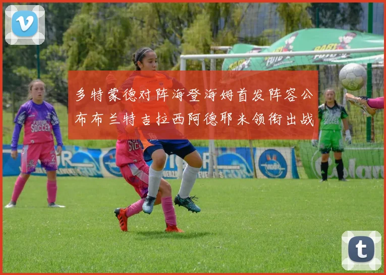 多特蒙德对阵海登海姆首发阵容公布布兰特吉拉西阿德耶米领衔出战