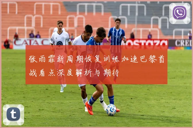 张雨霏新周期恢复训练加速巴黎首战看点深度解析与期待