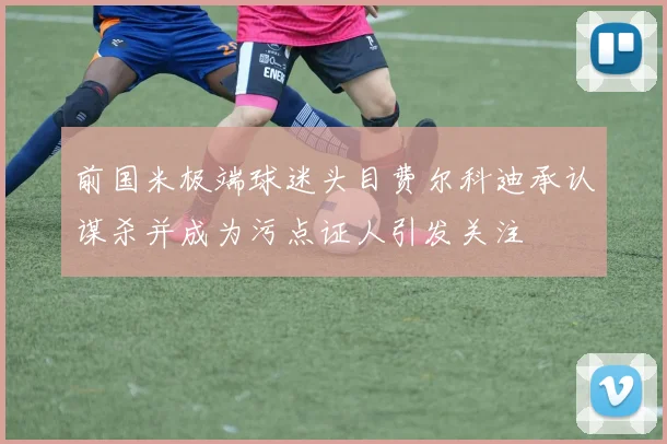 前国米极端球迷头目费尔科迪承认谋杀并成为污点证人引发关注